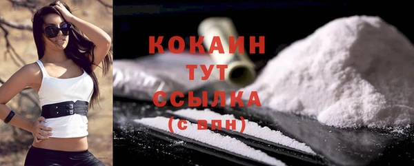 дживик Богданович
