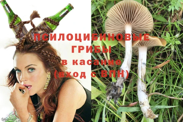 бошки Белокуриха