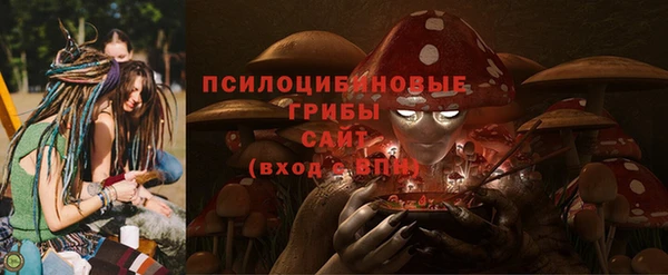 прущий лед Богородицк