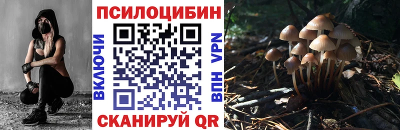 Галлюциногенные грибы Cubensis  Вуктыл 